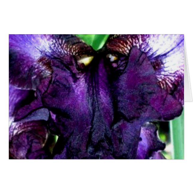 visage de la marionnette (Devant horizontal)