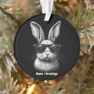 Visage de Lapin Mignon Avec Lunettes de Soleil Pou