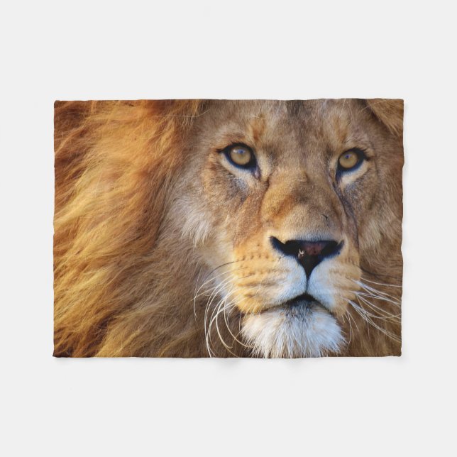Visage de lion avec la couverture de crinière (Devant (Horizontal))