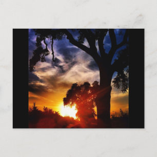 Visalia Sunset Postcard