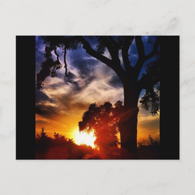 Visalia Sunset Postcard (Front)