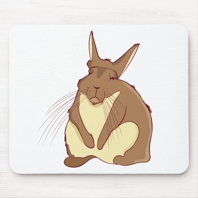 Viscacha Vizcacha Cute Mountain Rodent Lazy Sleepy Mouse Pad (Front)