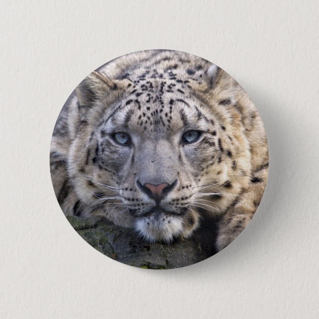 Vishnu Snow Leopard Badge 2 Inch Round Button (Front)