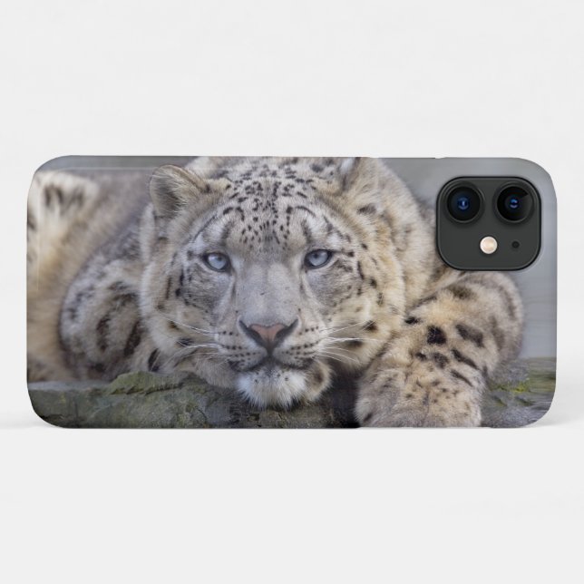 Vishnu Snow Leopard iPhone 11 Case (Back (Horizontal))