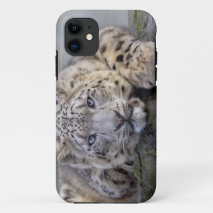 Vishnu Snow Leopard iPhone 5 Coque-Mate Coque