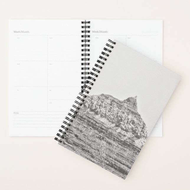 Vishnu Temple Planner (Display)