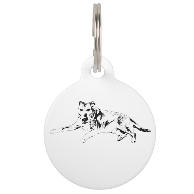 Visible Pal, Clear Heart Pet Tag (Front)