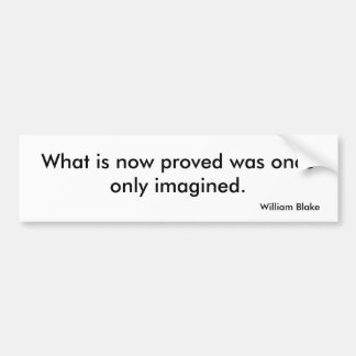 Vision Bumper Sticker