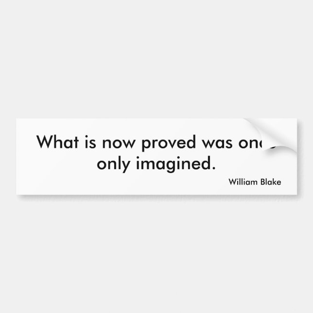 Vision Bumper Sticker (Front)