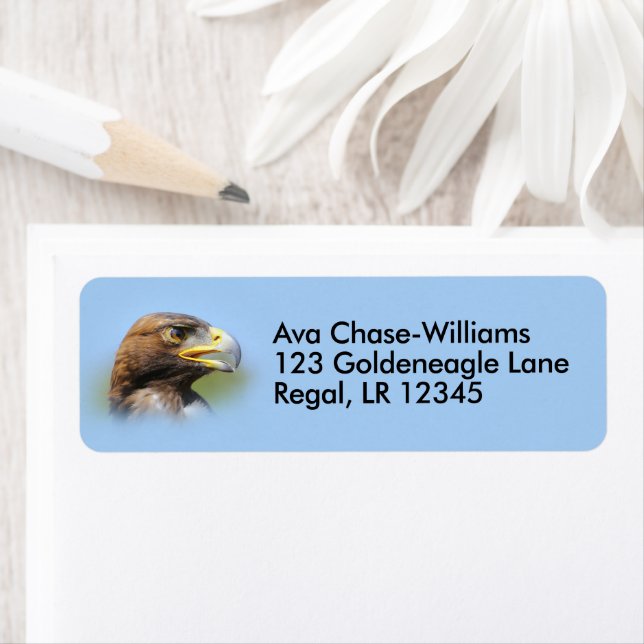 Vision d'un bel aigle d'or jeune (En situation)
