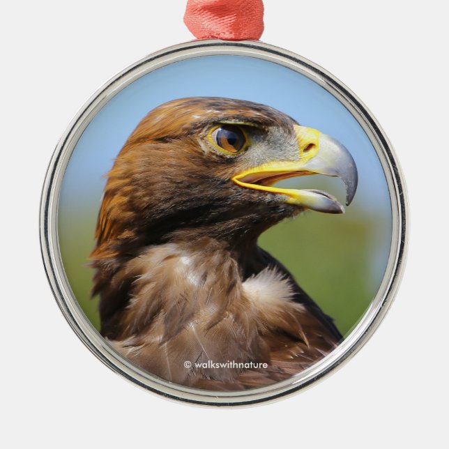 Vision of a Beautiful Young Golden Eagle Metal Ornament (Front)