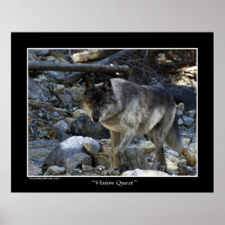 "Vision Quest" Grey Wolf Photo Poster