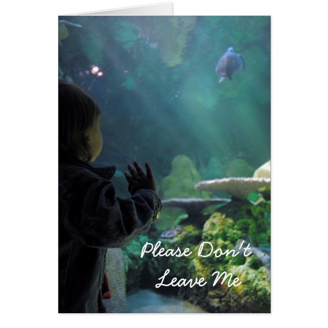 Visionneuse de réservoir de tortue (Devant)