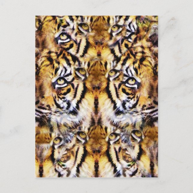 Visions_ Postcard (Front)