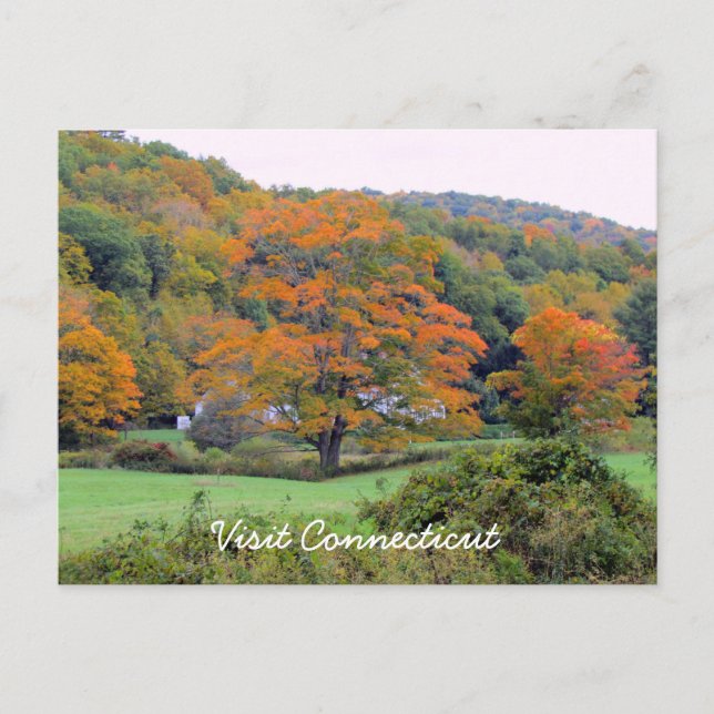 Visit CT Postcard (Front)