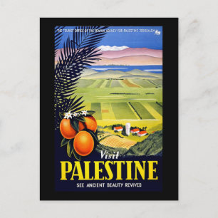 Visit Palestine See Ancient Beauty Revived Postcard