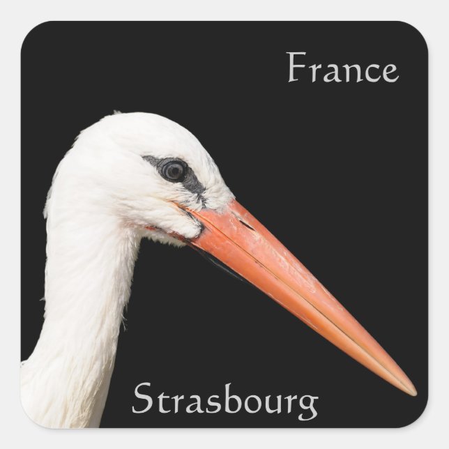 Visit Strasbourg Square Sticker (Front)