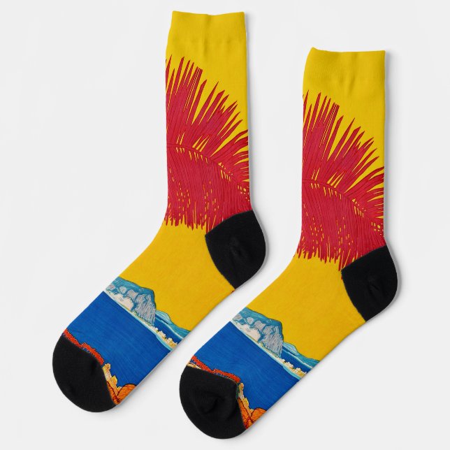 Visit Sudamerica vintage concept Socks (Left)