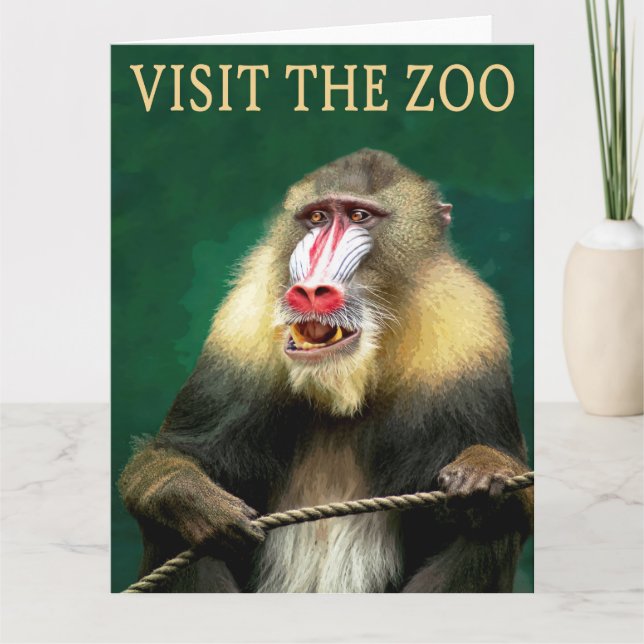 Visit The Mandrill At The Zoo Card (Front)
