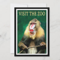 Visit the Zoo, vintage travel poster,