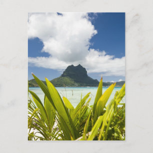 Visit to small picnic island in lagoon at Bora Postcard