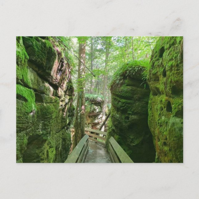 Visit WV-Beartown State Park Postcard (Front)