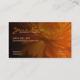 Visite Affaires de ZeSTiVE et carte personnelle