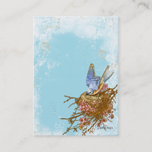Visite Bluebird dans le nid Carte de visite/profil