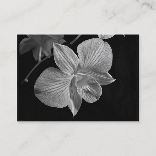 Visite Carte d'ATC de fleur d'orchidée de Dendrobium (Devant)