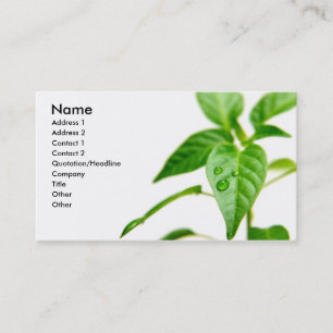 Visite Carte de Bsiness de jardinier