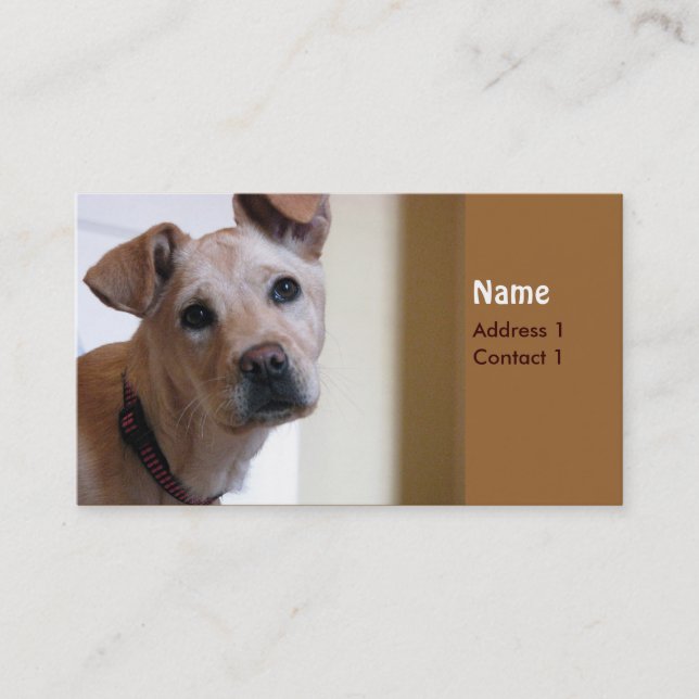 Visite Carte de chien (Devant)