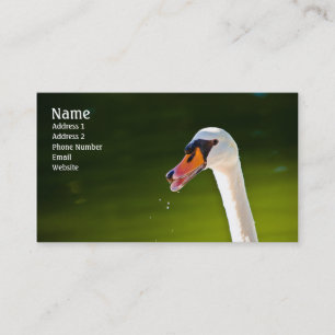 Visite Carte de profil de cygne muet
