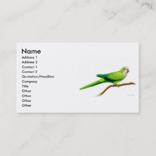 Visite Carte de profil de perroquet de quaker