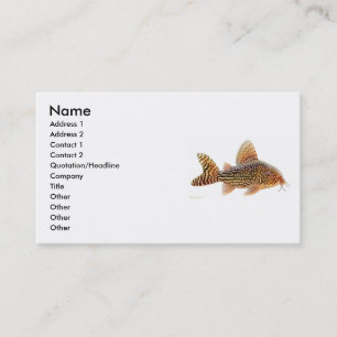 Visite Carte de profil de poisson-chat de Corydoras