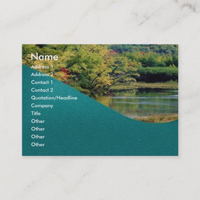 Visite Carte de profil de solde (Devant)