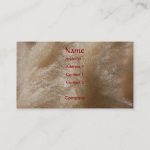 Visite Carte de profil d'herbe sauvage