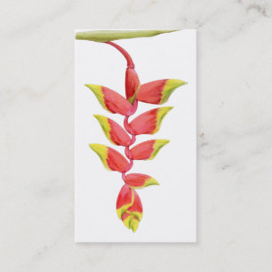 Visite Carte de profil Heliconia Branch