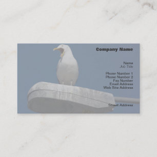 Visite Carte de profil Seagull Yawning