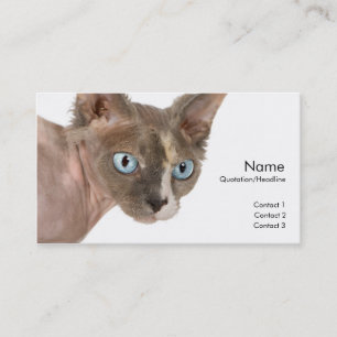 Visite Carte de profil Sphynx Cat