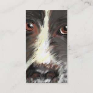 Visite Carte de visite, délivrance de border collie