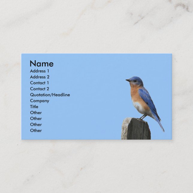 Visite Carte orientale de profil d'oiseau bleu (Devant)