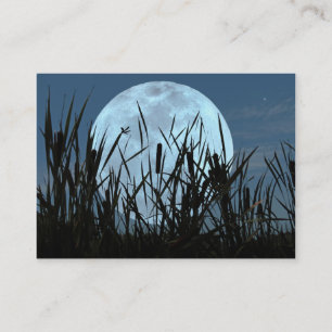 Visite Carte photo entre de lune et de marais ATC