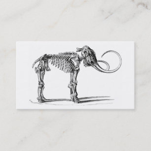 Visite Carte squelettique de profil de mammouth laineux