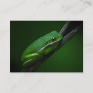 Visite Carte verte d'ATC de grenouille d'arbre