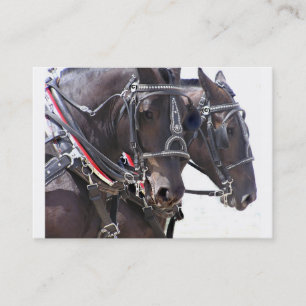 Visite Grande carte de profil de chevaux