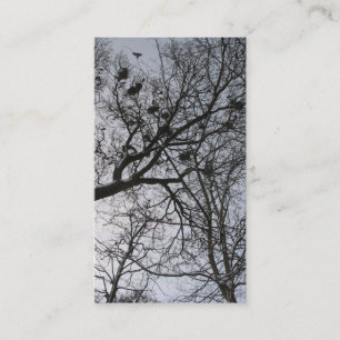 Visite Le petit carte photo de corneilles