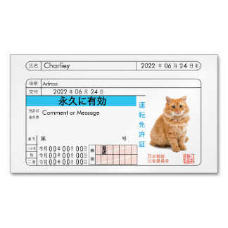 Visite Magnétique Carte de permis de conduire japonaise personnalisé
