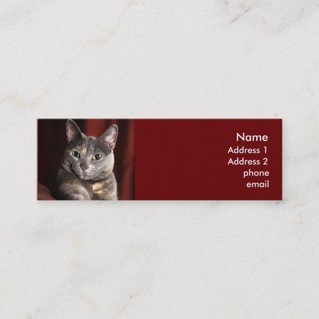 Visite Mini Carte de chat (Devant)