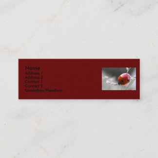 Visite Mini Carte de profil de coccinelle