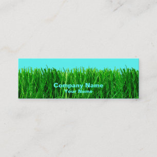 Visite Mini Carte maigre de profil - herbe